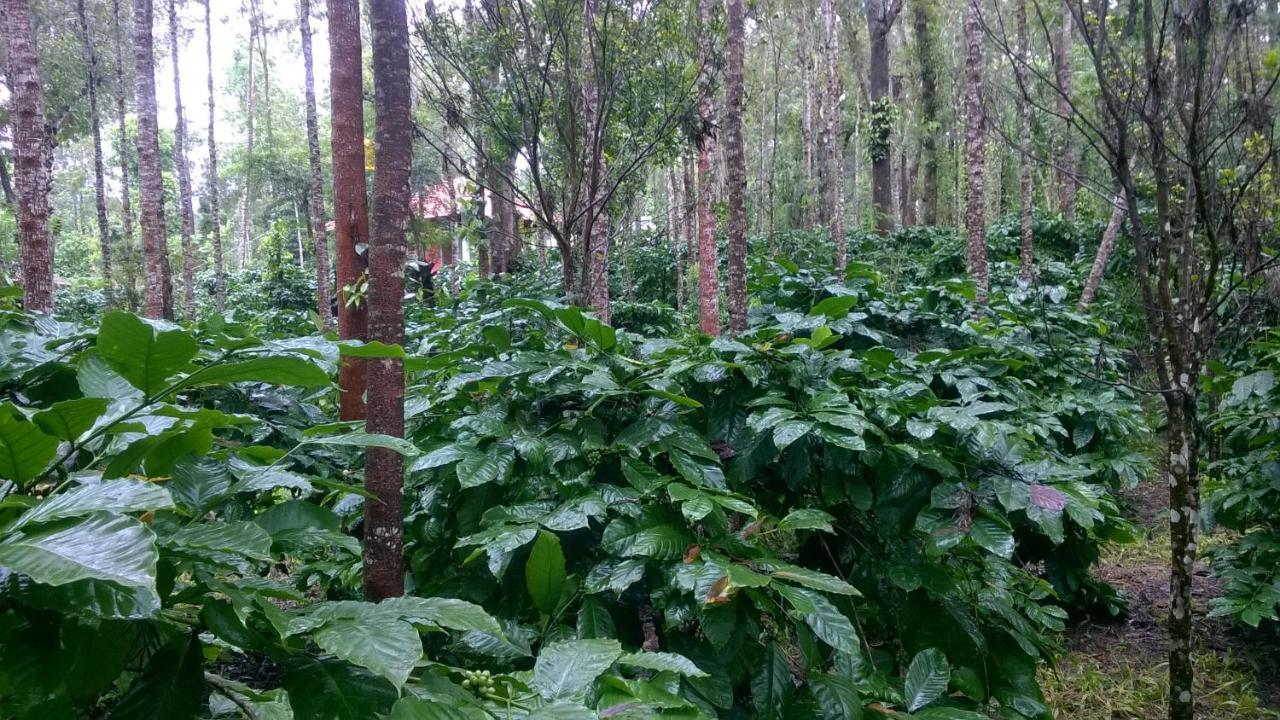 Rai Cottage @ Coorg ,Suntikoppa Exterior photo
