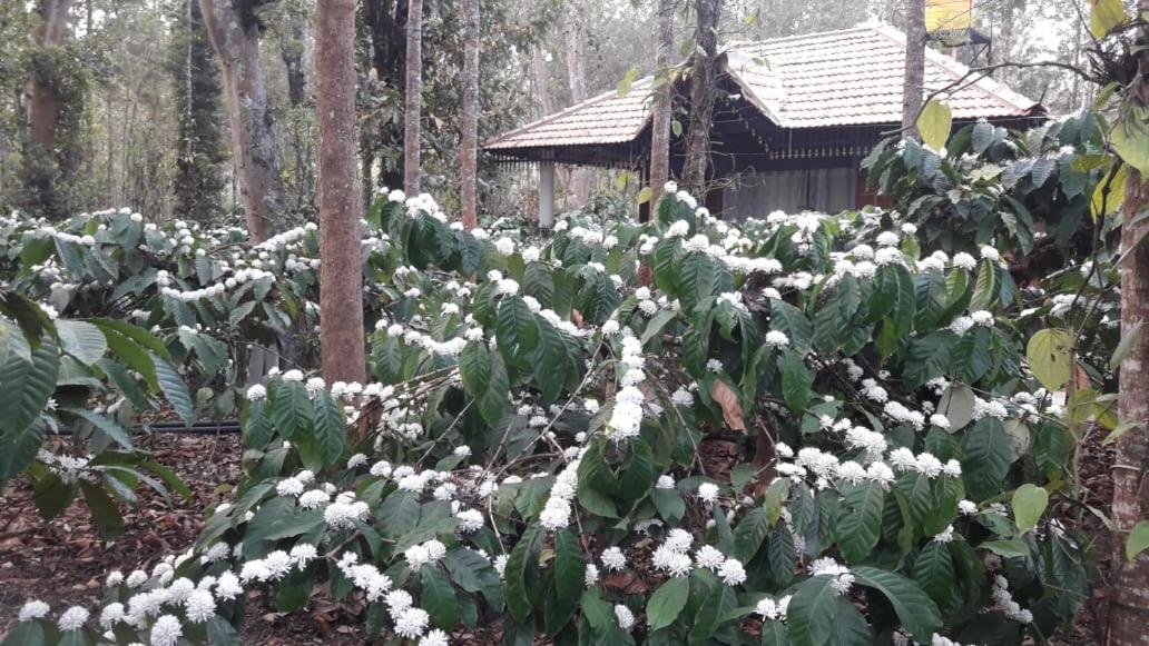 Rai Cottage @ Coorg ,Suntikoppa Exterior photo