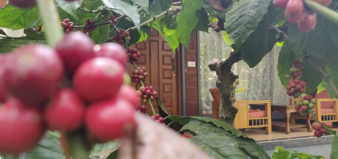Rai Cottage @ Coorg ,Suntikoppa Exterior photo
