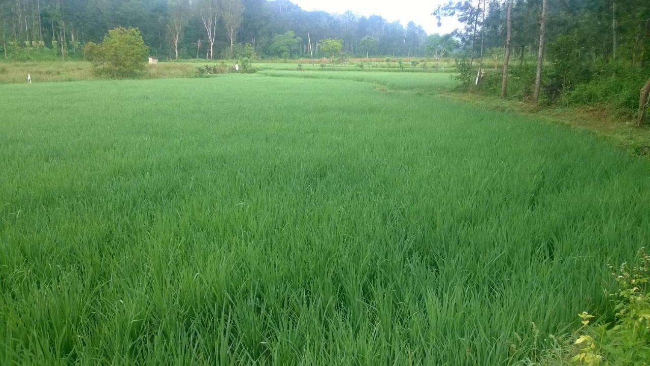 Rai Cottage @ Coorg ,Suntikoppa Exterior photo