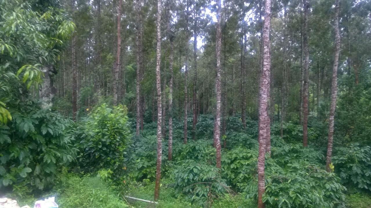 Rai Cottage @ Coorg ,Suntikoppa Exterior photo